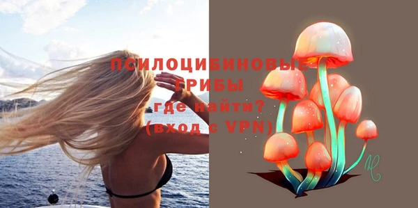 дмт Алзамай