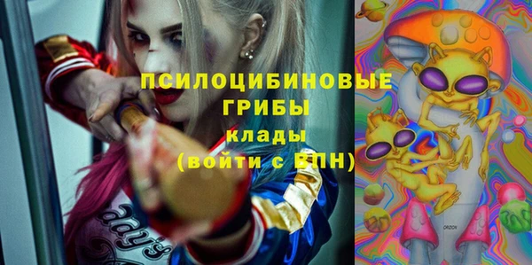 дмт Алзамай