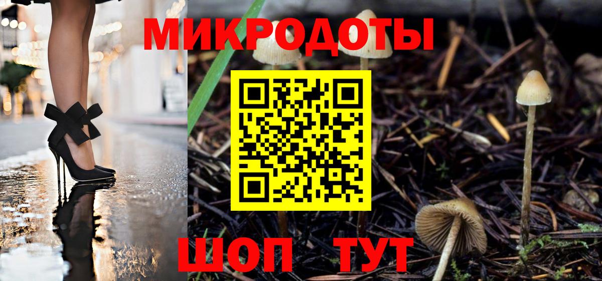 Псилоцибиновые грибы мицелий Балашиха