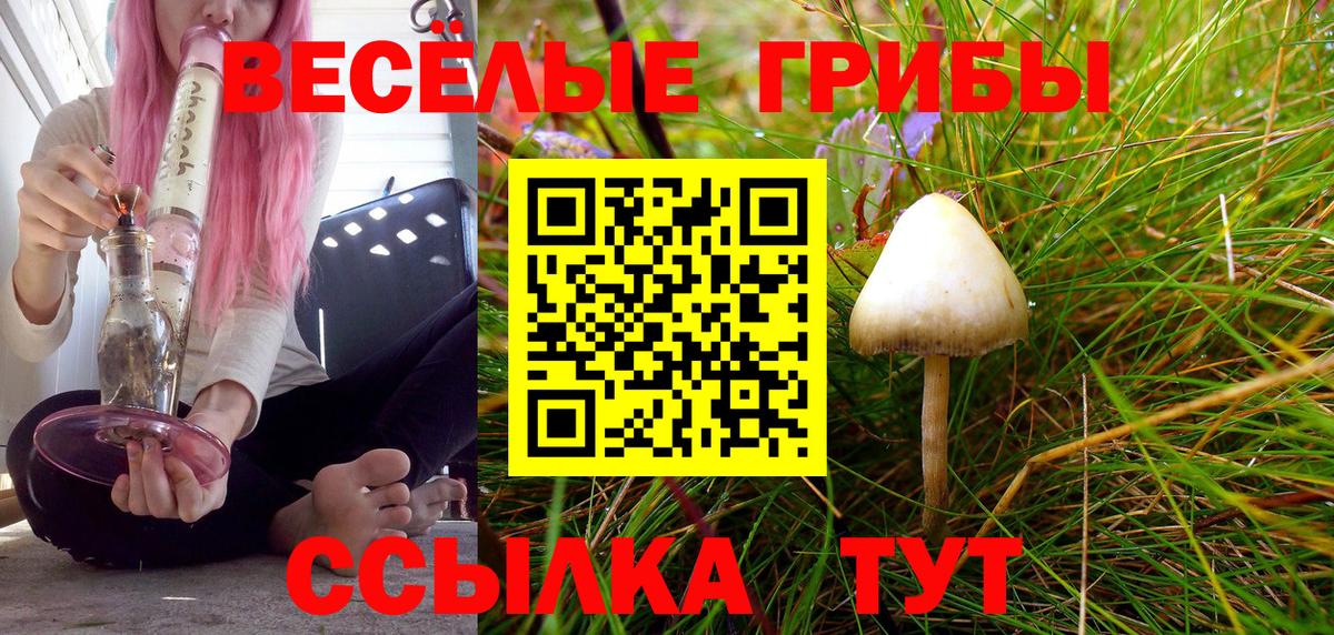 Галлюциногенные грибы Cubensis  Вход с VPN  Балашиха 